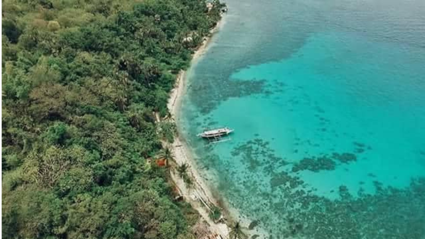 Isla Verde Batangas Shallow Water Coral Reef at Sawang in Sampalucan, San Agustin Kanluran.