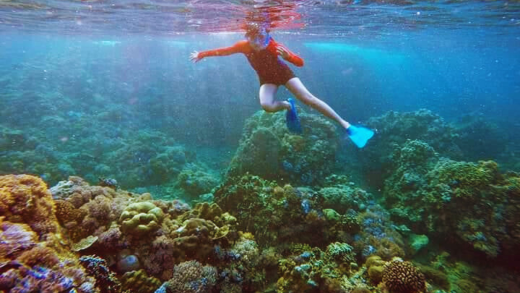Snorkeling at the Sampalucan Sanctuary